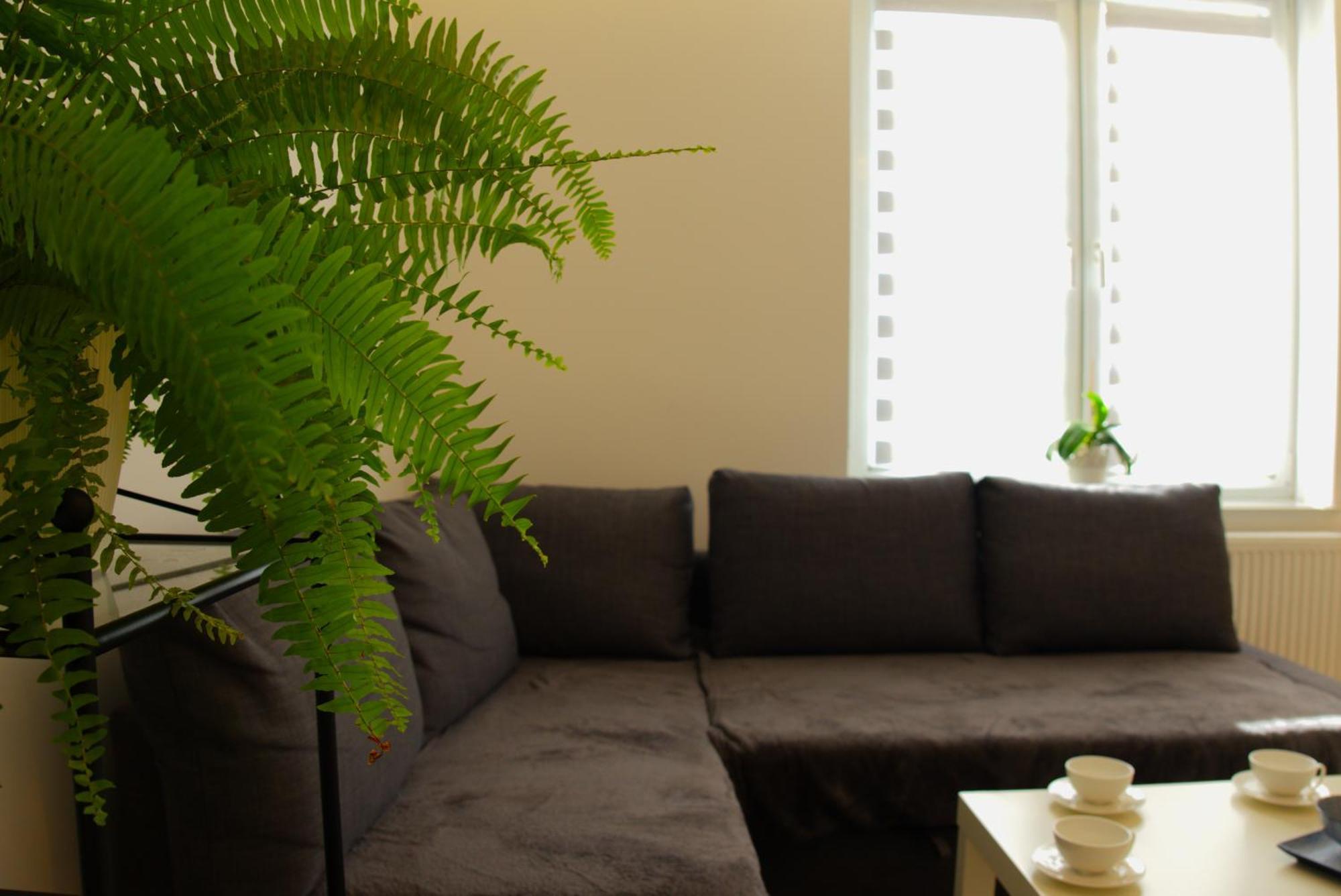 Apartament Centrum Rynek Boleslawiec  Esterno foto